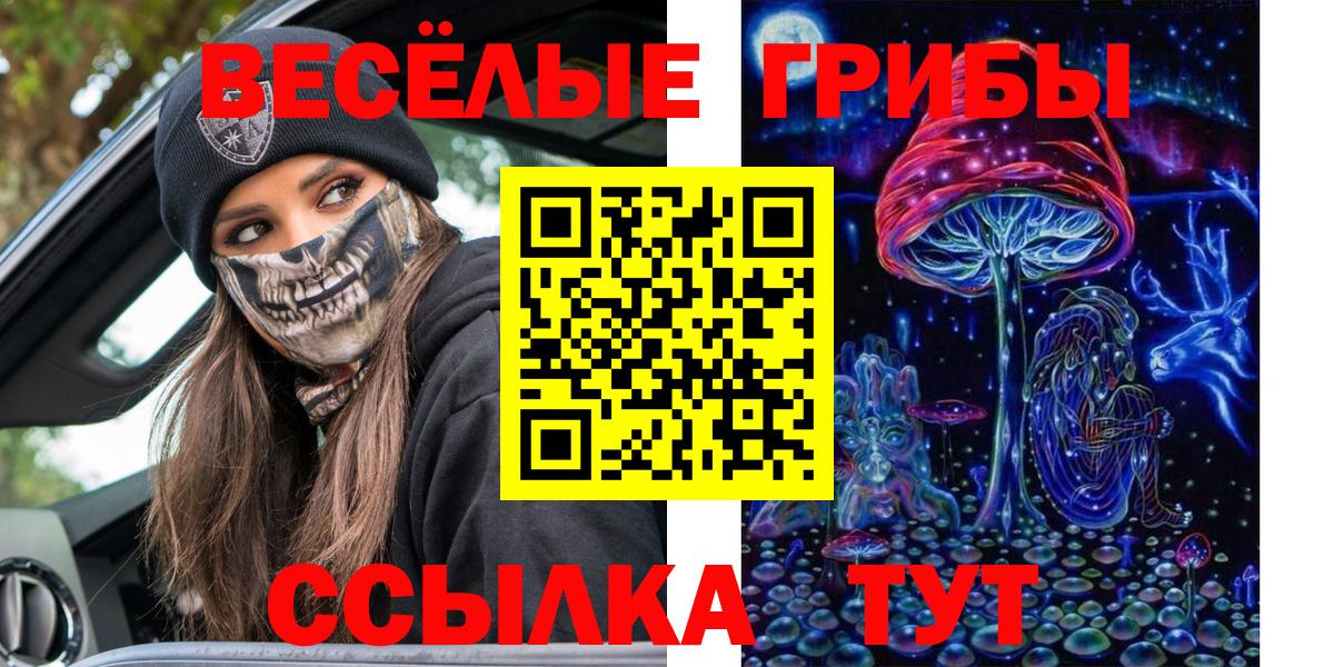 Псилоцибиновые грибы мицелий Алатырь