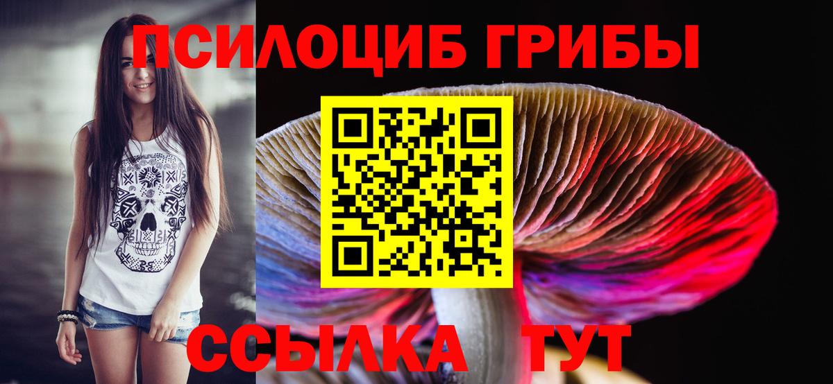 Псилоцибиновые грибы Psilocybe  Галлюциногенные грибы мицелий  Алатырь  где купить   Вход с VPN 